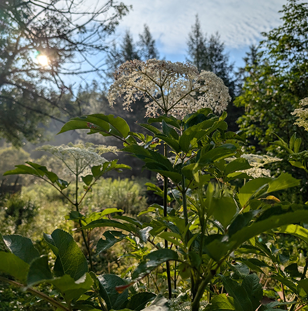 Artwork or property image